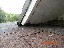 Bat Entry Point on Roof